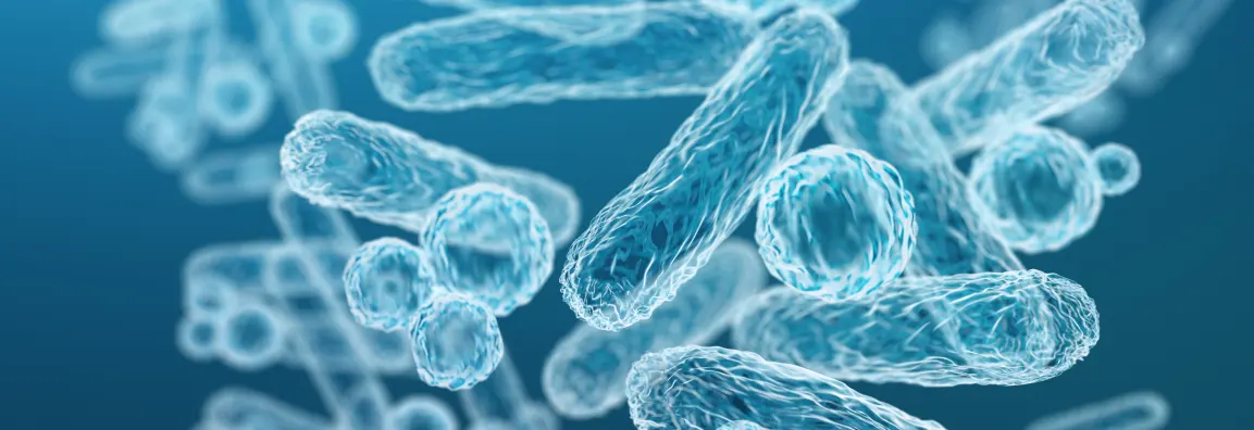 Una mirada a las enfermedades infecciosas en la infancia 6 Imagen de bacterias
